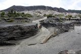 Wisatawan berada di kawasan Gunung Bromo di Kecamatan Sukapura, Probolinggo, Jawa Timur, Kamis (5/3/2020). Berdasar laporan Balai Besar Taman Nasional Bromo Tengger Semeru (BBTNBTS) selama sebulan terakhir kunjungan wisatawan mancanegara terutama dari Tiongkok menurun hingga 60 persen lebih akibat penyebaran virus corona. Antara Jatim/Umarul Faruq/zk