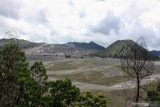 Suasana padang pasir Gunung Bromo di Kecamatan Sukapura, Probolinggo, Jawa Timur, Kamis (5/3/2020). Berdasar laporan Balai Besar Taman Nasional Bromo Tengger Semeru (BBTNBTS) selama sebulan terakhir kunjungan wisatawan mancanegara terutama dari Tiongkok menurun hingga 60 persen lebih akibat penyebaran virus corona. Antara Jatim/Umarul Faruq/zk