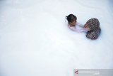 Fenomena air berwarna putih susu