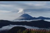 Gunung Semeru menyemburkan awan panas terlihat dari Pananjakan Pasuruan, Jawa Timur, Sabtu (7/3/2020). Gunung tertinggi di Pulau Jawa tersebut mengalami erupsi dan menyemburkan awan panas sejak Selasa (3/3) hingga Sabtu (7/3). ANTARA FOTO/Siswowidodo/nym.