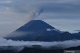 Gunung Semeru menyemburkan awan panas terlihat dari Pananjakan Pasuruan, Jawa Timur, Sabtu (7/3/2020). Gunung tertinggi di Pulau Jawa tersebut mengalami erupsi dan menyemburkan awan panas sejak Selasa (3/3) dan hingga Sabtu (7/3) masih menyemburkan awan panas. Antara Jatim/Siswowidodo/zk.