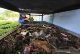 Dirut Bank Sampah IBU-Tin Mutiah merawat Maggot Lalat Hitam (Hermetia illucen) di desa Tinumpuk, Juntinyuat, Indramayu, Jawa Barat, Minggu (8/3/2020). Bank sampah yang dikelola Ikatan Buruh Migran Tinumpuk (IBU-Tin) tersebut mengolah sampah menjadi BBM hingga pupuk organik. ANTARA JABAR/Dedhez Anggara/agr