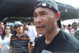 Pulau Sumba pusat pengembangan sapi wagyu, kualitas internasional