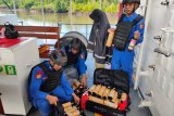 Polisi tahan wanita bawa 62 botol minuman beralkohol tujuan Agats