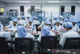 Pekerja mengemas dan memberikan label vaksin di Laboratorium Bio Farma, Bandung, Jawa Barat, Selasa (10/3/2020). Bio Farma memastikan stok vaksin untuk menjaga daya tahan tubuh dari ancaman virus influenza di tengah ancaman penyebaran virus corona jenis baru (Covid-19) dalam keadaan mencukupi. ANTARA JABAR/M Agung Rajasa/agr