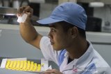 Petugas memeriksa vaksin di laboratorium Bio Farma, Bandung, Jawa Barat, Selasa (10/3/2020). Bio Farma memastikan stok vaksin untuk menjaga daya tahan tubuh dari ancaman virus influenza di tengah ancaman penyebaran virus corona jenis baru (Covid-19) dalam keadaan mencukupi. ANTARA JABAR/M Agung Rajasa/agr