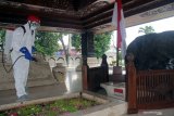 Petugas BPBD menyemprot cairan disinfektan di kawasan Makam Soekarno di Blitar, Jawa Timur, Rabu (18/3/2020). Pasca malakukan penyemprotan disinfektan, Pemkot Blitar secara resmi menutup kawasan Makam Presiden Pertama RI Soekarno dari kunjungan dan peziarah terhitung mulai hari ini, hingga 29 Maret 2020 mandatang, guna mengantisipasi penyebaran COVID-19 di wilayah tersebut. Antara Jatim/Irfan Anshori/zk.