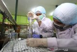 Pelajar membuat cairan antiseptik atau hand sanitizer di Laboratorium SMK ISFI Banjarmasin, Kalimantan Selatan, Rabu (18/3/2020). Siswa SMK ISFI Banjarmasin memproduksi cairan antiseptik pembersih tangan sebagai antisipasi untuk pencegahan penyebaran virus COVID-19 yang dijual seharga Rp20.000 per botol ukuran 20 mililiter dan Rp25.000 per botol ukuran 100 mililiter. Foto Antaranews Kalsel/Bayu Pratama S.