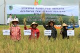 Pemkab Seruyan panen padi seluas 108 hektare