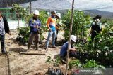 Kebun Raya Sipirok terima hibah ratusan jenis tumbuhan dari LIPI