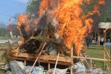 Personil Polda Aceh bersama anggota Badan Narkotika Nasional provinsi Aceh memusnahkan secara simbolis barang bukti tindak kejahatan narkoba berupa paket ganja kering dan jenis narkotika lainnya di Banda Aceh, Aceh, Selasa (24/3/2020). Selain memusnahkan narkoba sebanyak 1,1 ton paket ganja dan 1.025 batang tanaman ganja, Polda Aceh dalam operasi Rencong-I juga memusnahkan narkotikan jenis sabu sebanyak 41,49 kg dan sebanyak 2.000 butir ekstasi serta mengamankan 48 tersangka. Antara Aceh/Ampelsa.