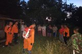 SAR gabungan cari seorang kakek hilang di perkebunan