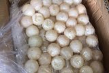 Ribuan butir telur penyu asal Kepri diamanlan Polda Kalbar