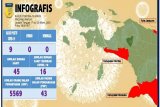 Warga Provinsi Papua yang positif covid-19 bertambah jadi sembilan orang