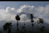 Aktivitas Gunung Merapi mengeluarkan asap putih terlihat dari Selo, Boyolali, Jawa Tengah, Minggu (29/3/2020). Berdasarkan data pengamatan Balai Penyelidikan dan Pengembangan Teknologi Kebencanaan Geologi (BPPTKG) pada Minggu (29/3/2020) pukul 00:15 WIB terjadi erupsi Gunung Merapi dengan tinggi kolom erupsi 1500 meter. ANTARA FOTO/Aloysius Jarot Nugroho/nym