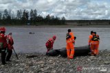 Pendulang emas ditemukan meninggal dunia di Mile 26 Timika Papua