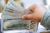 Dolar AS menguat, bersiap hadapi ketidakpastian berkepanjangan pandemi Corona