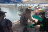 Puluhan ODP di Papua Barat pulih setelah isolasi 14 hari