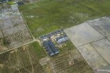 947 hektare lahan pertanian di Agam berkurang akibat alih fungsi