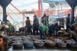 Nelayan Kesulitan Pasarkan Ikan Dampak Corona