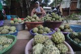 Pedagang menunggui buah srikaya dagangannya di kawasan Sedangdang Pamekasan, Jawa Timur, Jumat (3/4/2020). Buah musiman tersebut dijual antara Rp3.500 -Rp5.000 per buah atau Rp150 ribu-250 ribu per keranjang isi antara 70 hingga 90 buah. Antara Jatim/Saiful Bahri/zk.