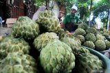 Pedagang menunggui buah srikaya dagangannya di kawasan Sedangdang Pamekasan, Jawa Timur, Jumat (3/4/2020). Buah musiman tersebut dijual antara Rp3.500 -Rp5.000 per buah atau Rp150 ribu-250 ribu per keranjang isi antara 70 hingga 90 buah. Antara Jatim/Saiful Bahri/zk.