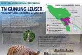 TN Gunung Leuser, 'rumah' sang harimau sumatera