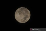 Bulan purnama pink terlihat di langit Kabupaten Pamekasan, Jawa Timur, Rabu (8/4/2020) dini hari. Berdasarkan Data BMKG supermoon (bulan purnama) pink terbesar sepanjang tahun ini terjadi pada tanggal 08 April 2020, pukul 1.08 WIB ukuran supermoon tersebut sekitar 14 persen lebih besar dari minimoon, yang berjarak dari Bumi sekitar 356.910 km.
Sementara pada minimoon posisi terjauh Bulan dari Bumi, sekitar 400.000 km. Antara Jatim/Saiful Bahri/zk