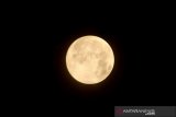 Bulan purnama (supermoon) terlihat di Desa Alue Raya, Kecamatan Samatiga, Aceh Barat, Aceh, Rabu (8/4/2020). Badan Meteorologi Klimatologi dan Geofisika (BMKG) menyebutkan fenomena bulan purnama perige atau supermoon yang terlihat pada pukul 01.08 WIB dengan jarak 356.910 km dari Bumi merupakan puncak supermoon pada 2020. Antara Aceh/Syifa Yulinnas.