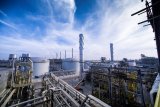 Harga minyak jatuh, tertekan pasokan berlimpah, keraguan penurunan produksi