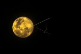 Fenomena Bulan Supermoon yang juga disebut sebagai super pink moon menghiasi langit Kota Lhokseumawe, Aceh, Rabu (8/4/2020) dini hari. Astronom Indonesia menyebutkan, fenomena supermoon dimana bulan 14 persen lebih besar dan 30 persen lebih terang dari biasanya itu terjadi saat bulan berada pada titik perige terdekat sekitar 356,909 kilometer dari Bumi dan merupakan supermoon terbesar sepanjanb 2020, sekitar 9 jam setelah Bulan berada di perigee disusul bulan purnama Pink Moon, Egg Moon, dan Grass Moon di negara-negara empat musim. ANTARA FOTO/Rahmad/aww.