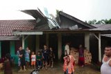 Empat rumah rusak tertimpa pohon di Aceh