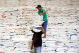 DKP Kota Makassar siapkan 100 ton beras hadapi PSBB COVID-19