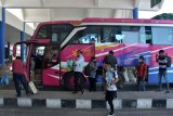 Penumpang mengambil barang bawaan dari dalam bus yang baru tiba dari Jawa Timur di Terminal Mengwi, Badung, Bali, Jumat (24/4/2020). Meskipun telah diberlakukannya larangan mudik untuk menurunkan risiko penyebaran COVID-19, namun sejumlah angkutan kota antar provinsi (AKAP) masih beroperasi di terminal tersebut. ANTARA FOTO/Nyoman Hendra Wibowo/nym.