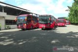 Kemenkeu siapkan dua skema relaksasi kredit bagi perusahaan bus terancam gulung tikar