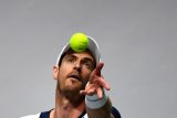 Petenis Andy Murray ke semifinal Madrid Open virtual