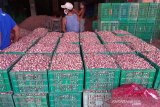 Presiden Jokowi soroti harga bawang merah dan gula pasir masih tinggi