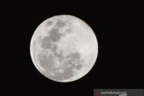 Fenomena 'Supermoon' terlihat di Kota Madiun, Jawa Timur, Kamis (7/5/2020). Fenomena supermoon terakhir pada 2020 bernama 