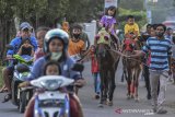 Anak-anak ngabuburit dengan menaiki kuda pacu sewa di Cieunteung, Kota Tasikmalaya, Jawa Barat, Kamis (7/5/2020). Peternak kuda balap dan andong terpaksa menyewakan kuda agar bisa bertahan merawat dan menghidupi kudanya saat pandemi COVID-19 dengan penghasilan Rp50 - Rp100 ribu per hari. ANTARA JABAR/Adeng Bustomi/agr