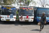 Seorang penumpang melintas di depan puluhan bus antar kota yang terparkir dan tidak beroperasi di terminal Landungsari, Malang, Jawa Timur, Senin (11/5/2020). Pengusaha armada bus setempat memilih untuk tidak beroperasi dan meliburkan seluruh armada yg dimiliki meski Kementerian Perhubungan memberi kelonggaran aktivitas transportasi di tengah pandemi COVID-19. Antara Jatim/Ari Bowo Sucipto/zk.