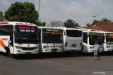 Seorang penumpang melintas di depan puluhan bus antar kota yang terparkir dan tidak beroperasi di terminal Landungsari, Malang, Jawa Timur, Senin (11/5/2020). Pengusaha armada bus setempat memilih untuk tidak beroperasi dan meliburkan seluruh armada yg dimiliki meski Kementerian Perhubungan memberi kelonggaran aktivitas transportasi di tengah pandemi COVID-19. Antara Jatim/Ari Bowo Sucipto/zk.