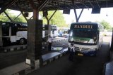Terminal Purabaya Sepi Penumpang