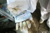 Satu pedagang di pasar Pa'baeng-baeng Makassar reaktif hasil rapid test