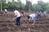 Dinas Pangan dan Pertanian Sitaro Ajak Masyarakat Gemar Menanam