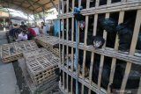 Pedagang ayam beraktivitas di pasar Banjaran, Kota Kediri, Jawa Timur, Rabu (13/5/2020). Pemerintah daerah setempat membuka kembali pasar tradisional itu setelah sebelumnya ditutup selama tiga hari pasca seorang pedagang dinyatakan positif COVID-19. Antara Jatim/Prasetia Fauzani/zk.