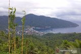 69 kampung di Kabupaten Sangihe sudah salurkan BLT dana desa
