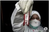 Ternyata mayoritas virus corona Indonesia tidak termasuk tipe dunia