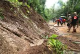 Petugas Badan Penanggulangan Bencana Daerah (BPBD) Banyuwangi membersihkan lumpur yang menutupi jalan akibat longsor di Desa Kluncing, Licin, Banyuwangi, Jawa Timur, Senin (18/5/2020). Tanah longsor di kaki Gunung Ijen yang menyebabkan akses jalan penghubung Desa Pakel dengan Desa Kluncing  tertutup itu, terjadi akibat intensitas hujan deras yang mengguyur kawasan tersebut sejak pagi hingga sore hari. Antara Jatim/Budi Candra Setya/zk