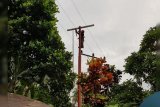 Petugas PLN kembali lakukan catat meter ke rumah pelanggan