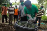 Sejumlah nelayan mengikuti pelatihan Budidaya Ikan Dalam Ember (Budikdamber) di kawasan Medokan Ayu, Surabaya, Jawa Timur, Rabu (20/5/2020). Pelatihan Budikdamber yang juga dilakukan pembagian paket sembako gratis kepada sejumlah nelayan yang digelar Green Leaf, Yayasan Manarul Ilmi (YMI) ITS dan Lembaga Manajemen Infaq (LMI) itu selain untuk mendapatkan 'lauk mandiri' juga agar para nelayan mampu mendapatkan penghasilan tambahan dari budidaya ikan dengan memanfaatkan ruang kosong di pekarangan rumah. Antara Jatim/Didik/Zk